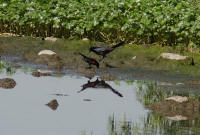 IMGP3821.JPG (616648 bytes)